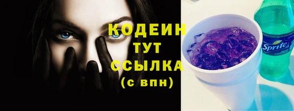 Альфа ПВП Елизово