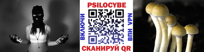 Купить где  Якутск  Псилоцибиновые грибы MAGIC MUSHROOMS 